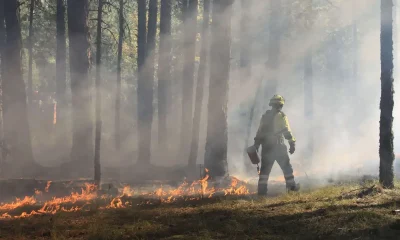 Feu de forêt en Espagne