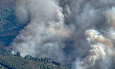 Feu de forêt en Chine