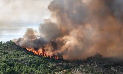 risque-feux-foret-canicule