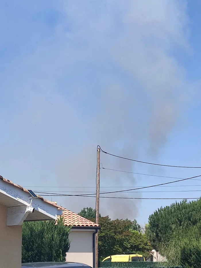 Photo du signalement