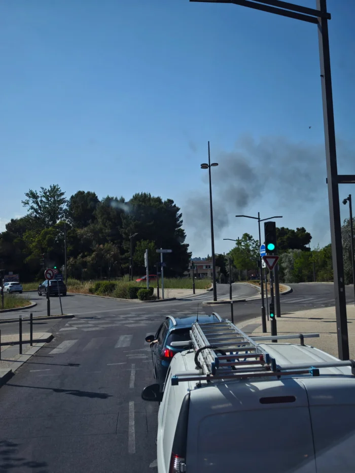 Photo du signalement