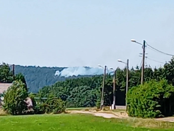 Photo du signalement
