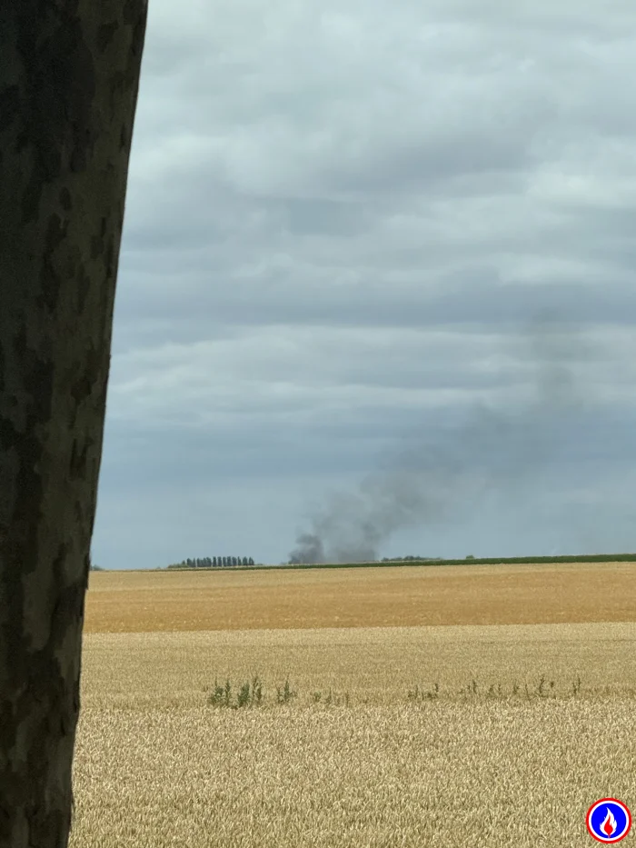 Photo du signalement