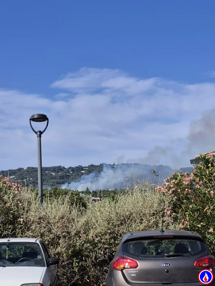 Photo du signalement
