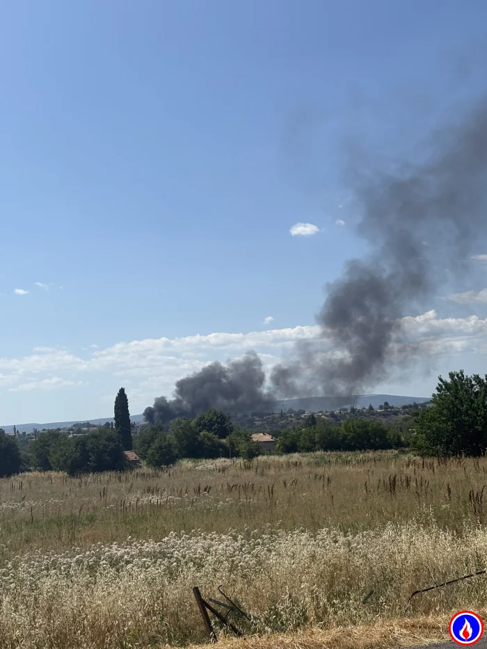 Photo du signalement