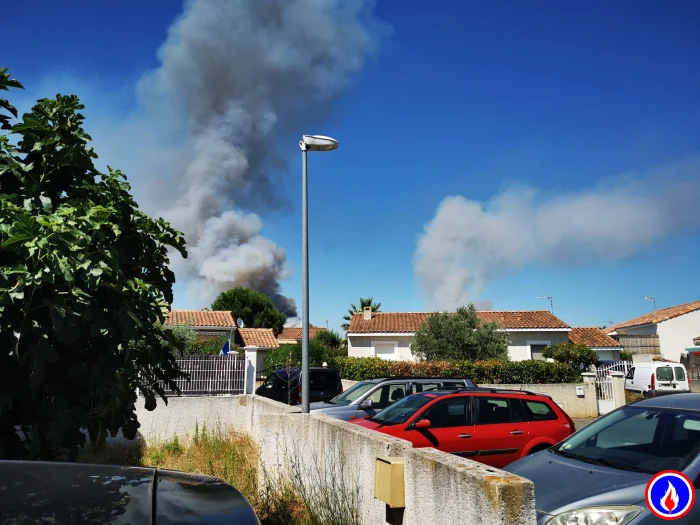Photo du signalement