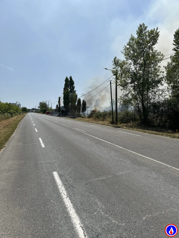 Photo du signalement