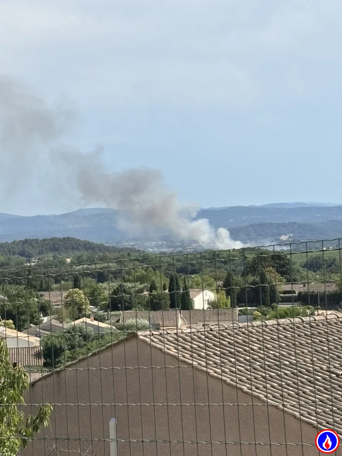 Photo du signalement