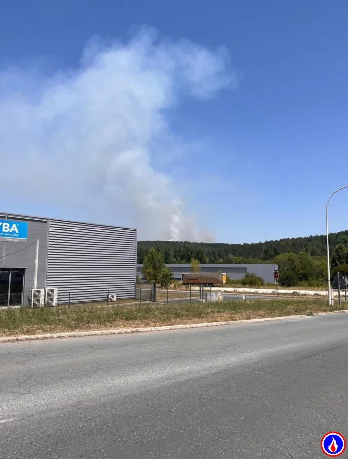 Photo du signalement