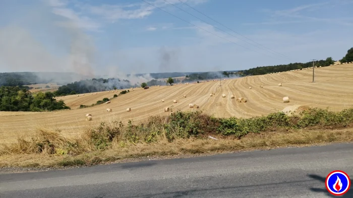 Photo du signalement