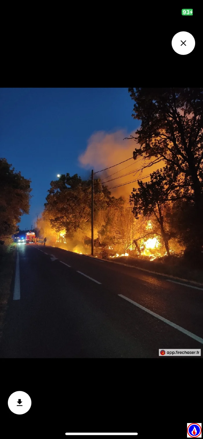Photo du signalement