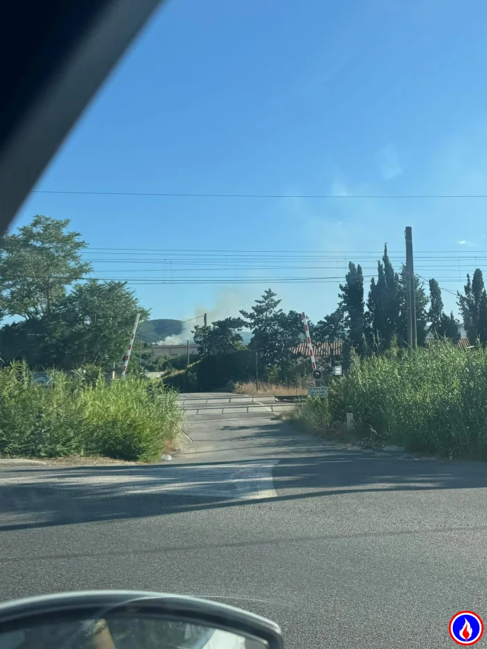 Photo du signalement