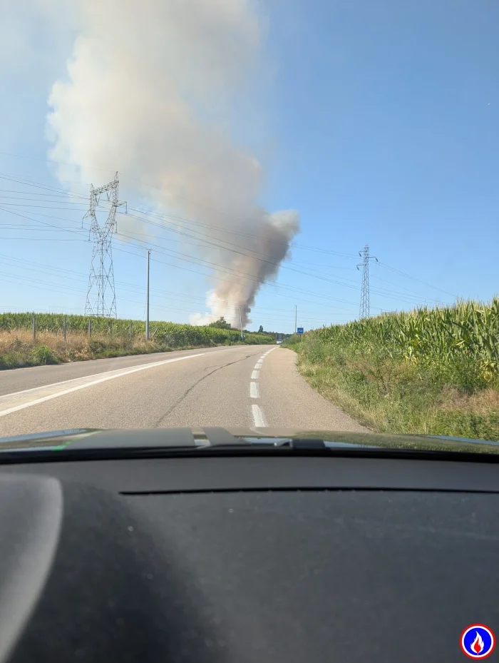 Photo du signalement