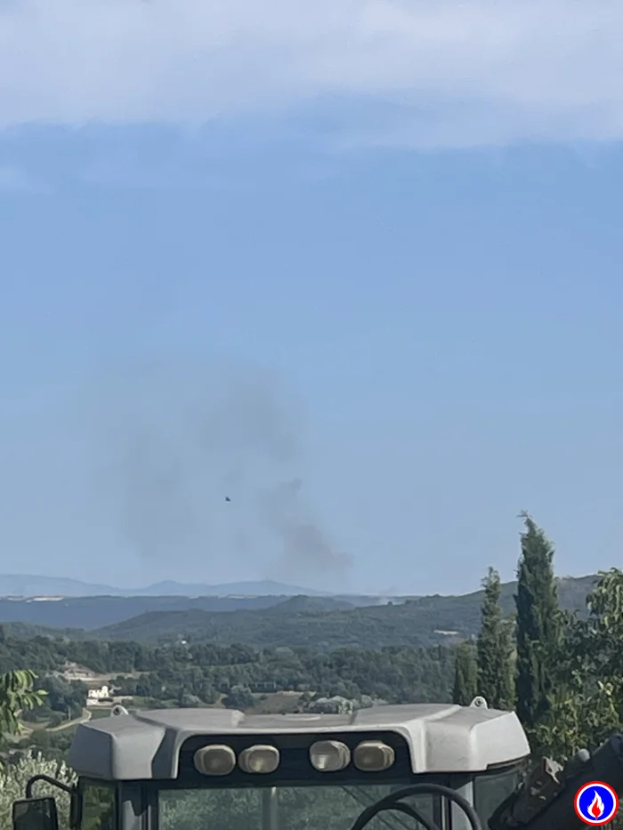 Photo du signalement