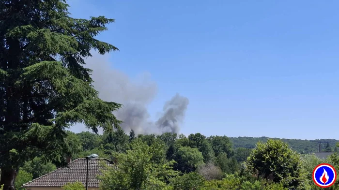 Photo du signalement