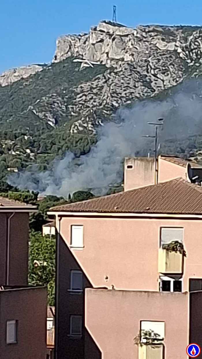 Photo du signalement