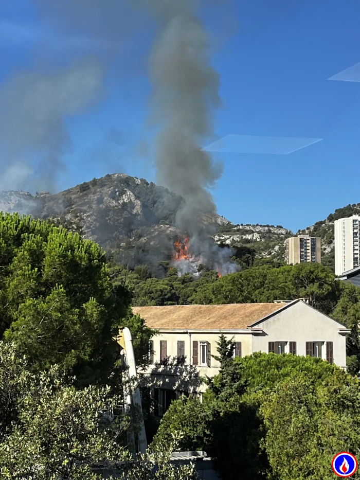 Photo du signalement