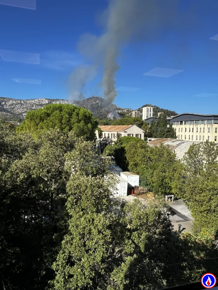 Photo du signalement