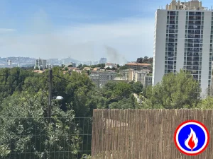 Photo du signalement