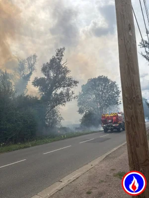 Photo du signalement