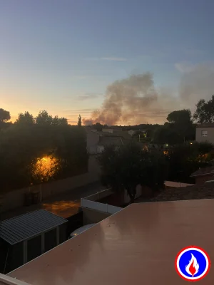 Photo du signalement