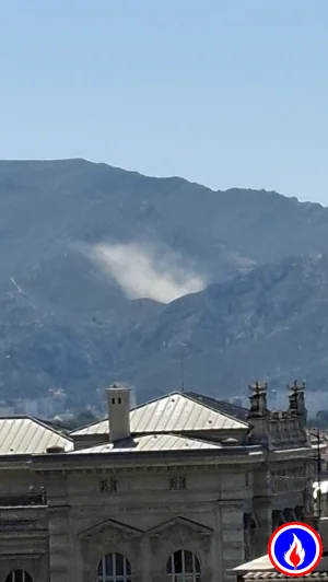Photo du signalement