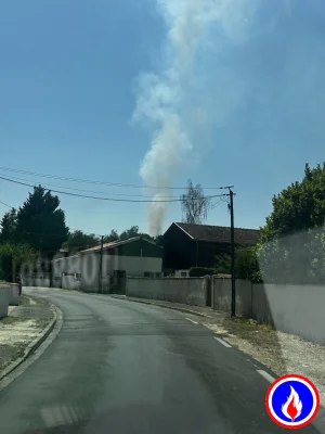 Photo du signalement
