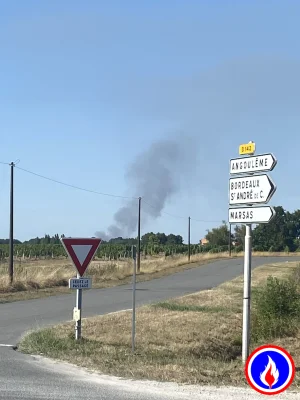 Photo du signalement