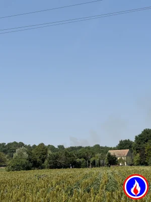 Photo du signalement