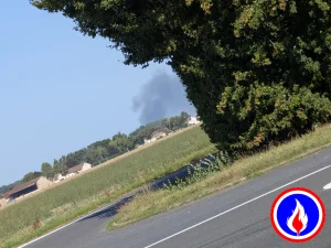 Photo du signalement