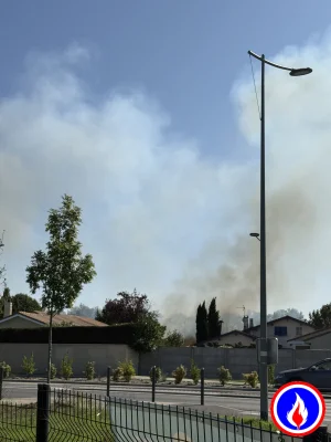 Photo du signalement